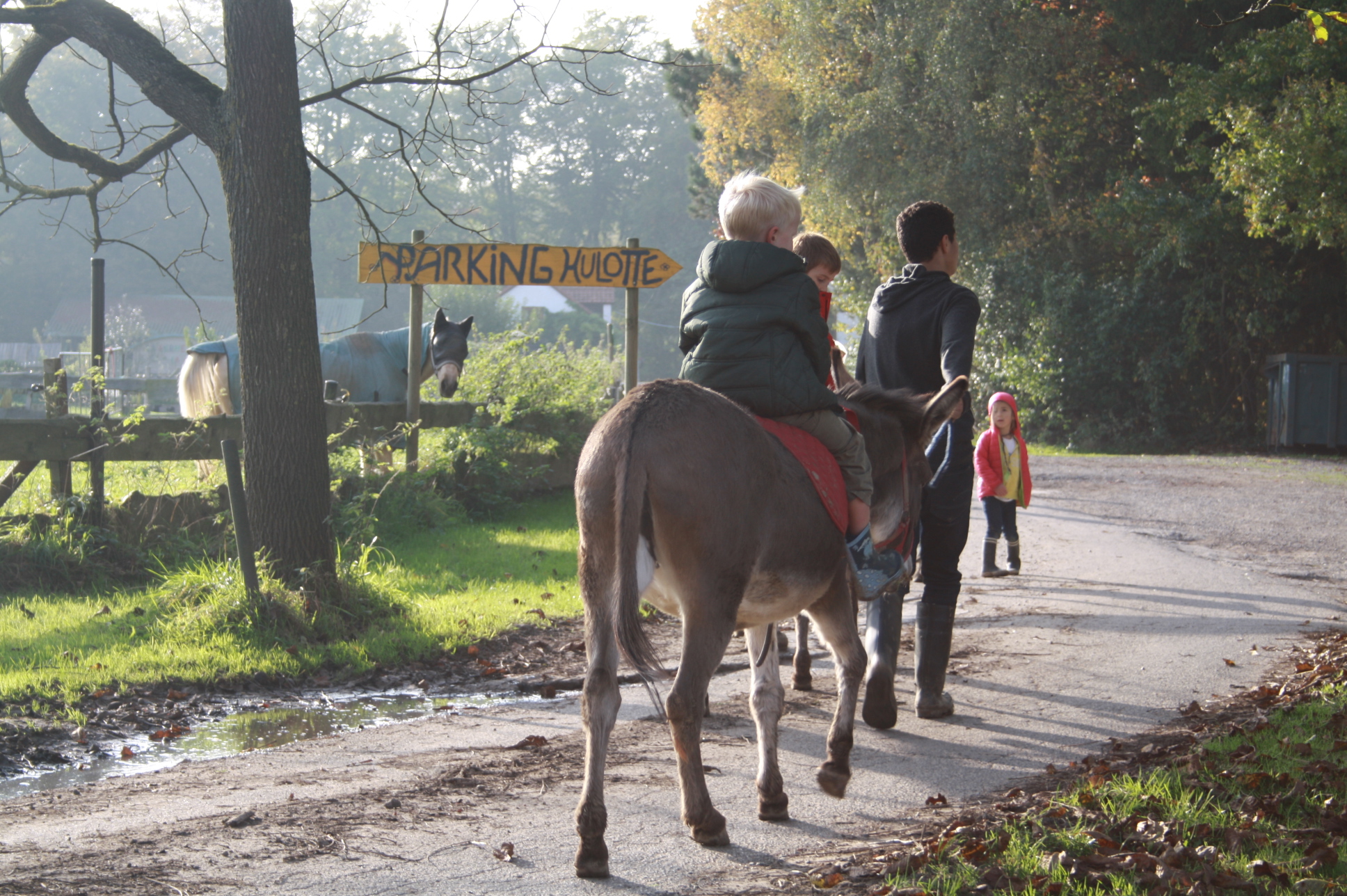 C'est l'automne.... (7-10 ans)