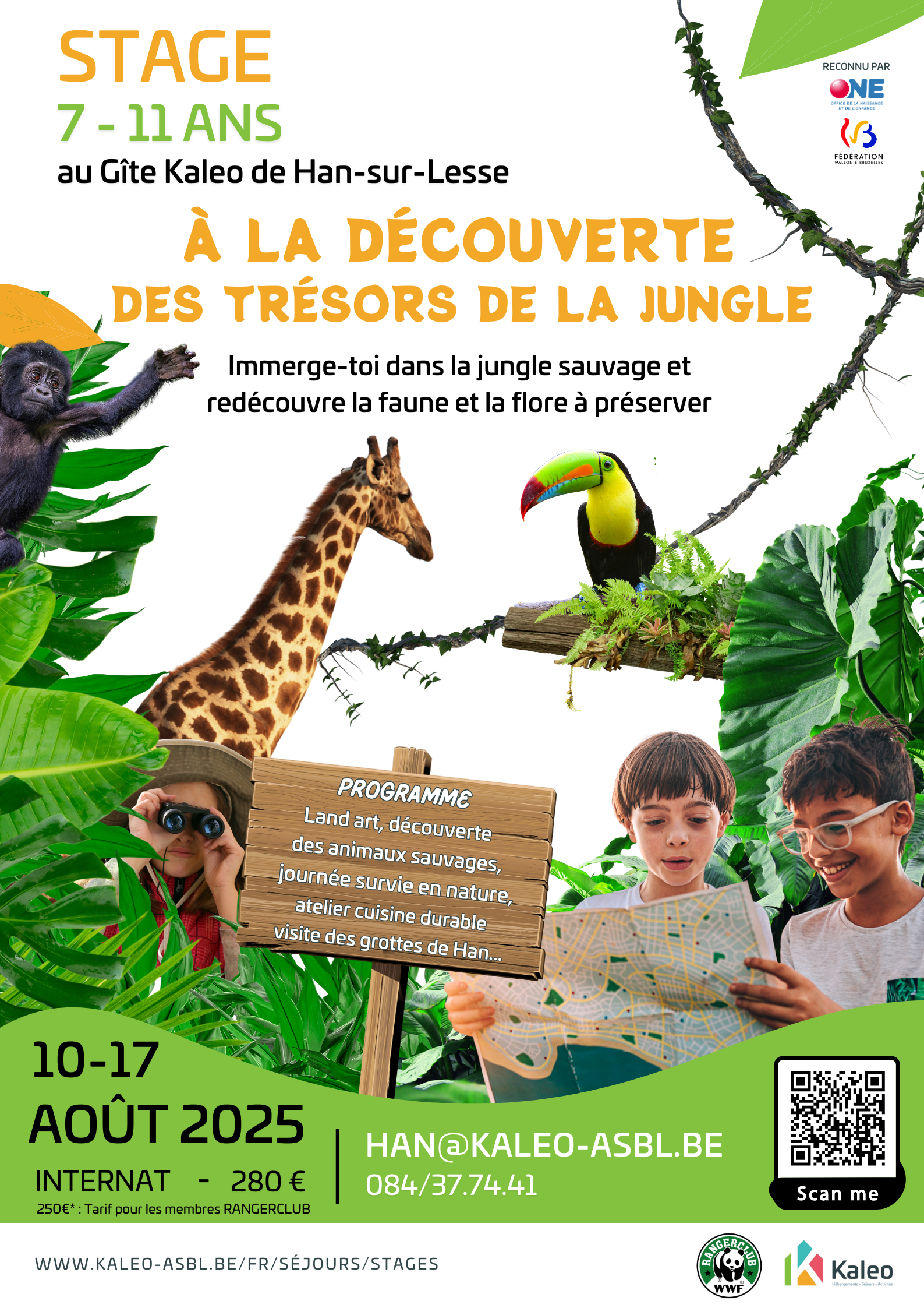 Les trésors de la jungle