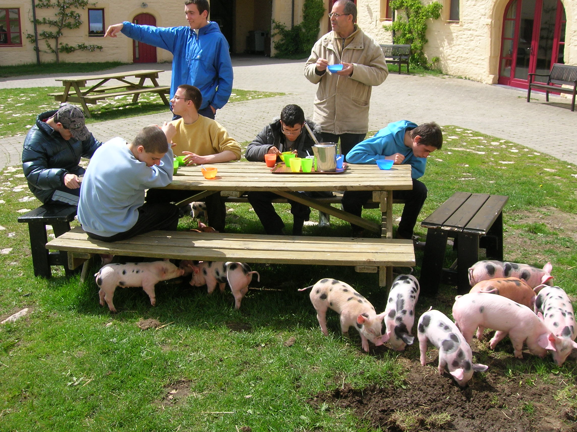 Stage 2–Ferme Patrimoine