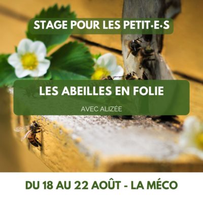 Les abeilles en folie