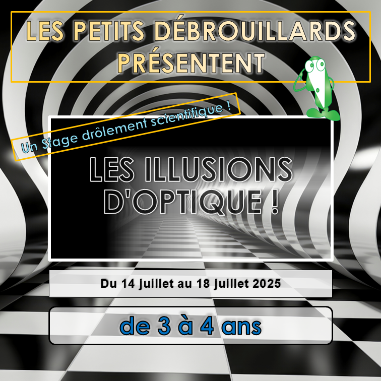 Les illusions d'optique (3-4)