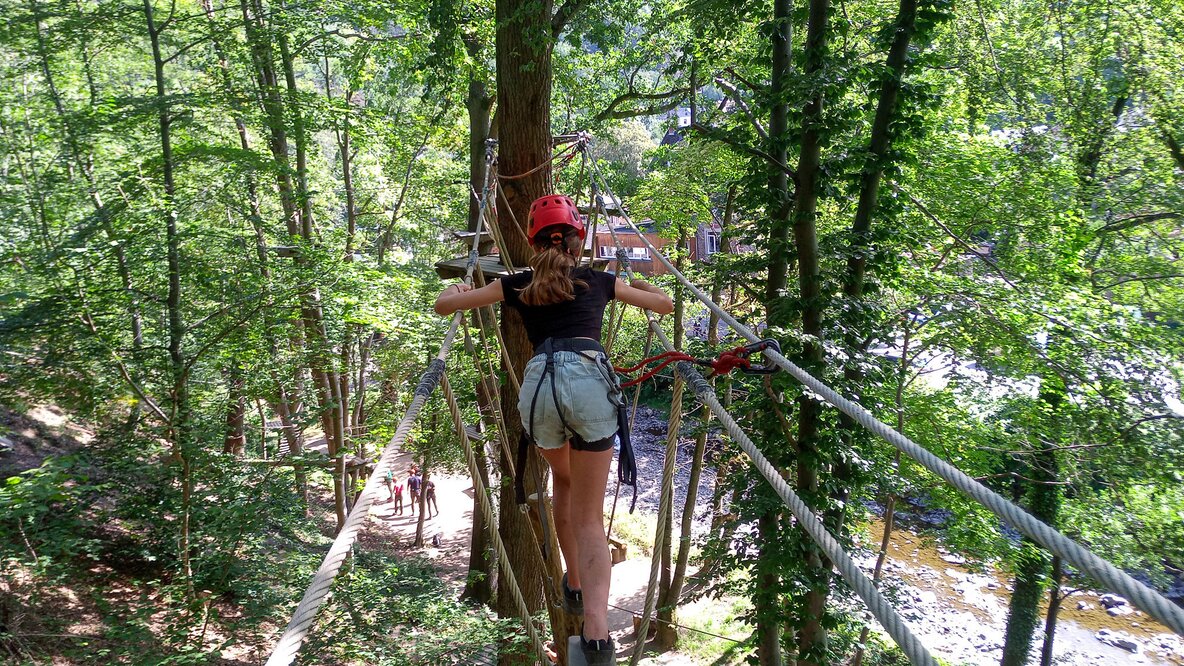 Sports en forêt