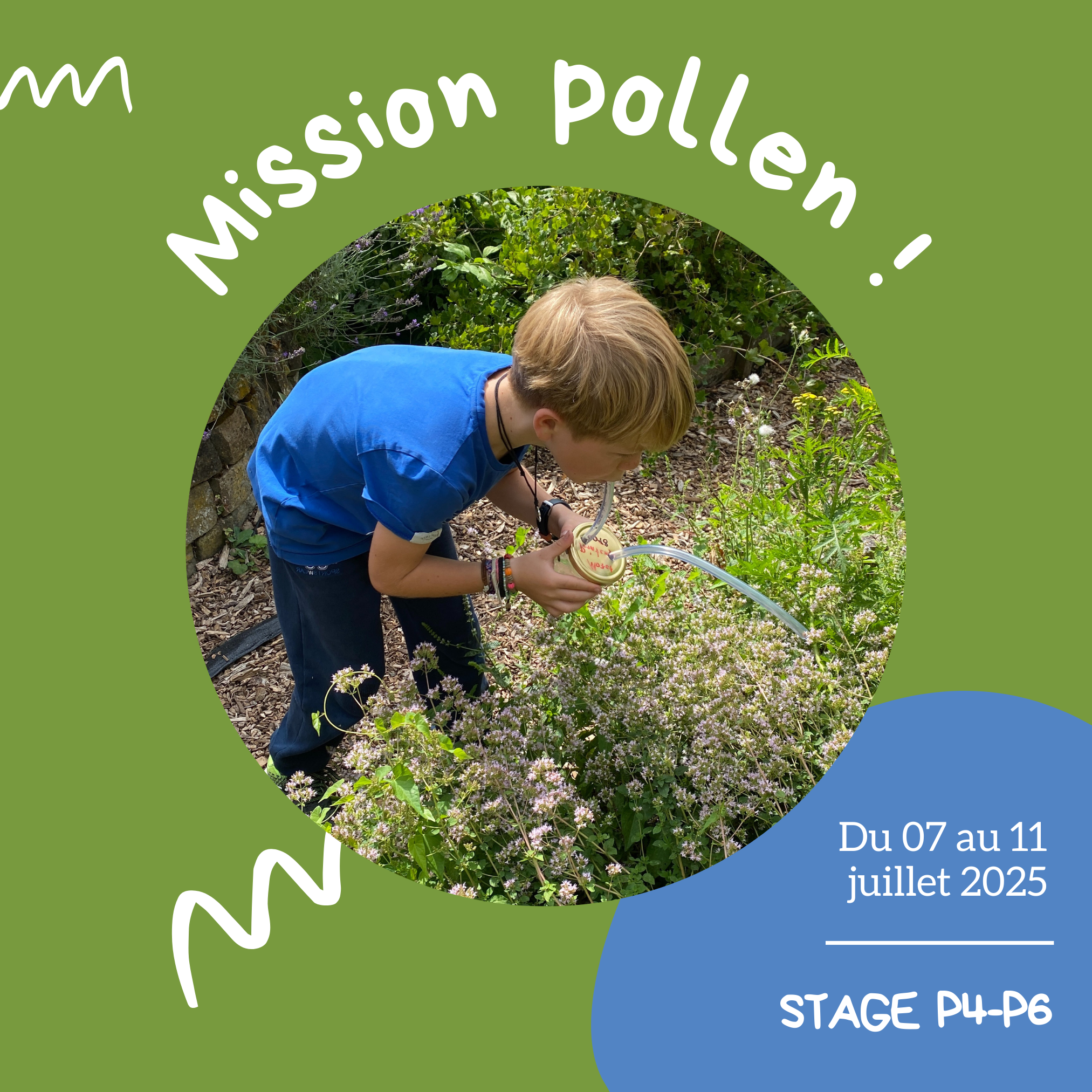 Mission pollen ! (P4-P6)