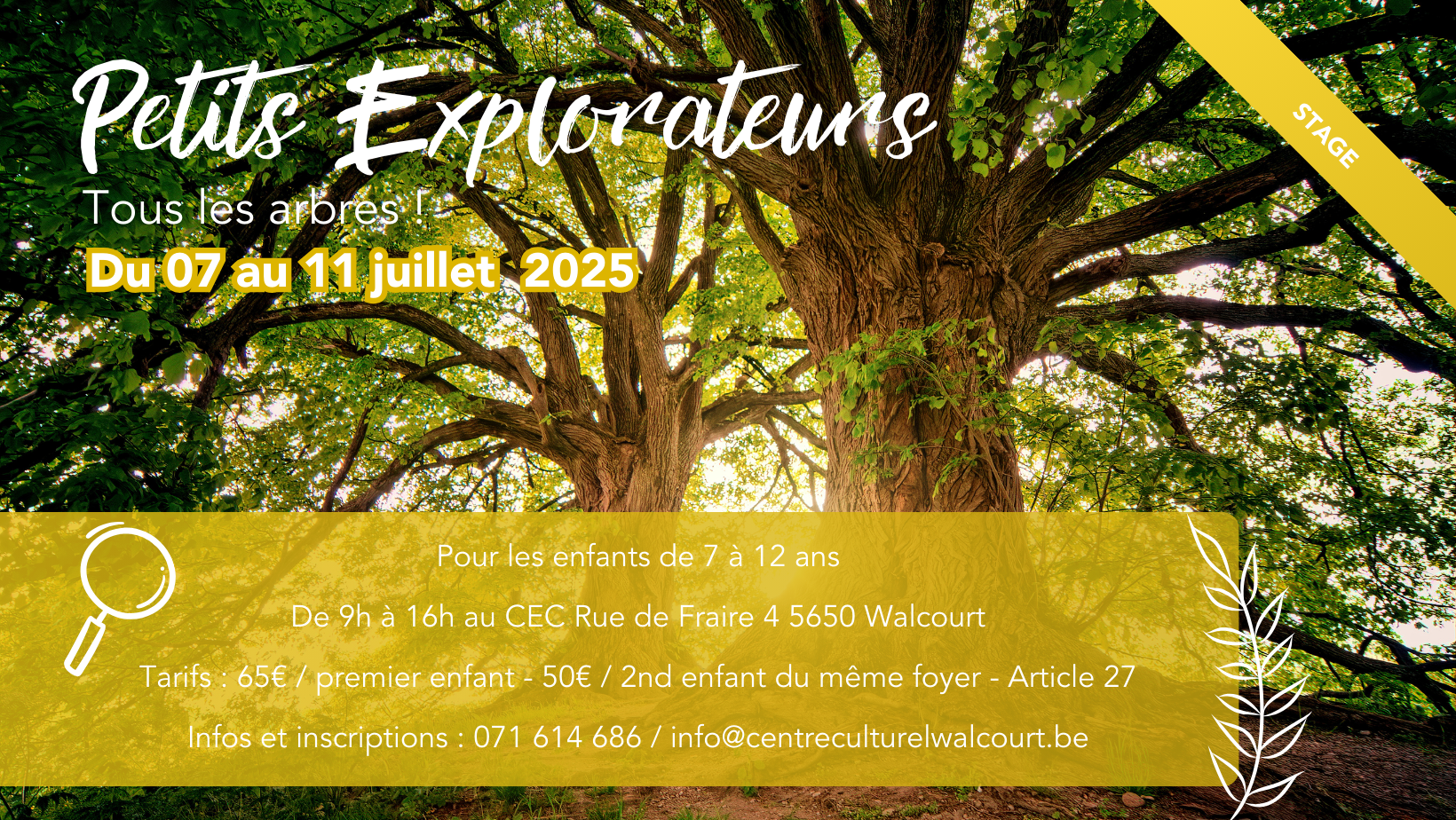 Petits Explorateurs Les arbres