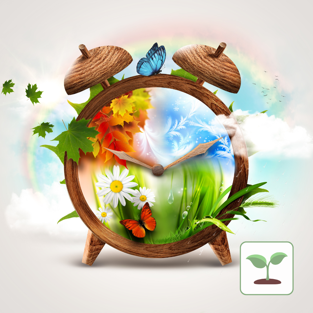 Mini-pousses : les saisons