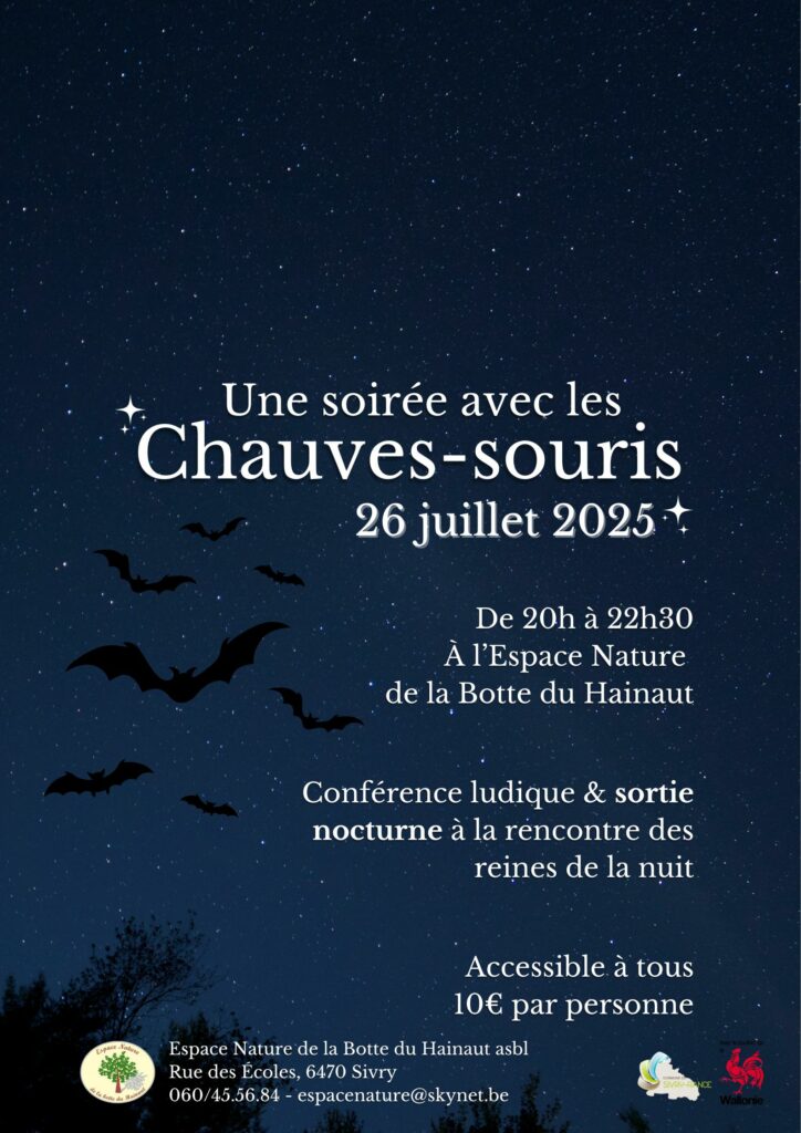 Les chauves-souris