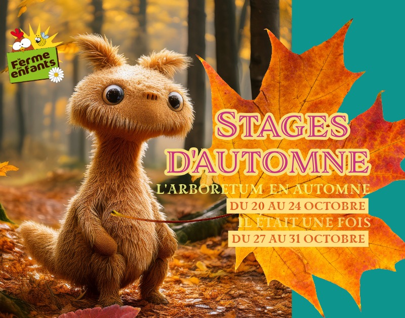 Stages d'automne