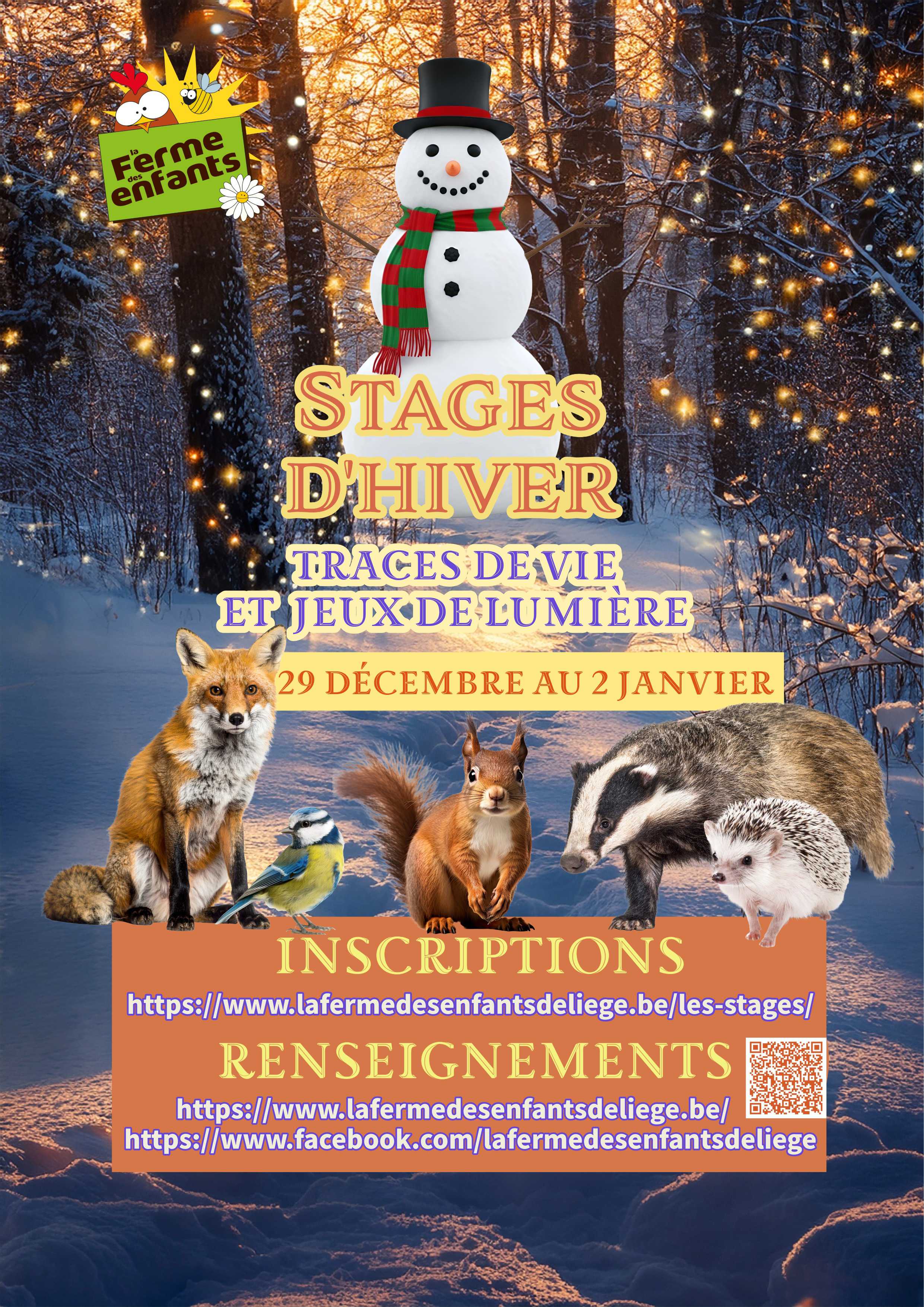 Stages d'hiver