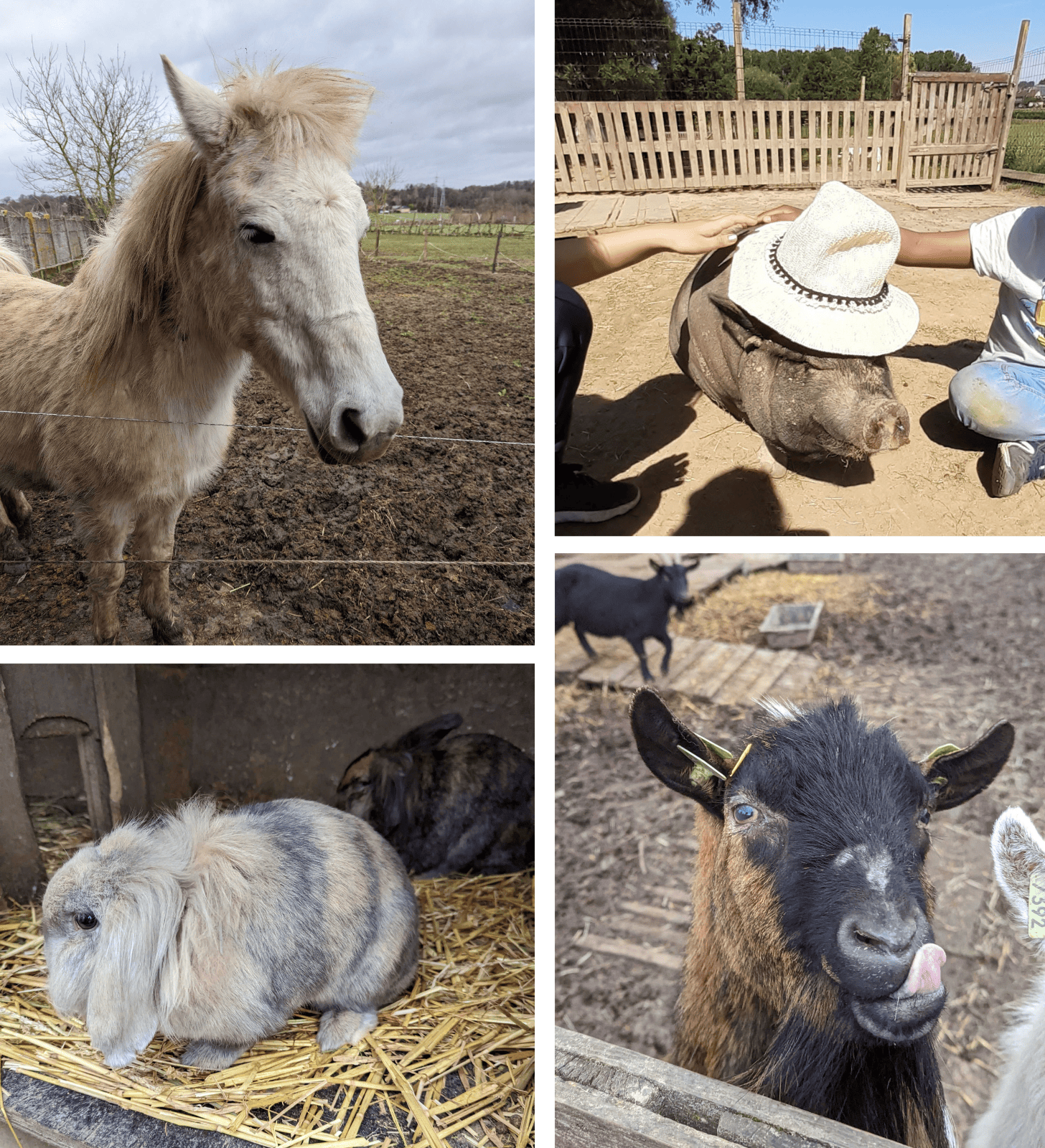 Dans les bottes d'un fermier