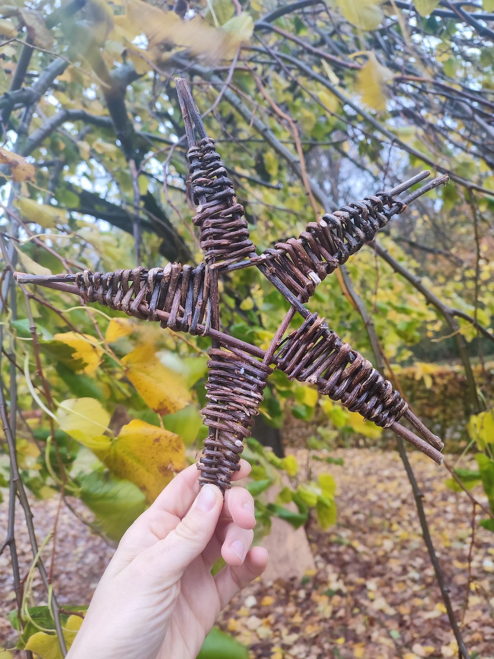 Forêt & Vannerie Sauvage