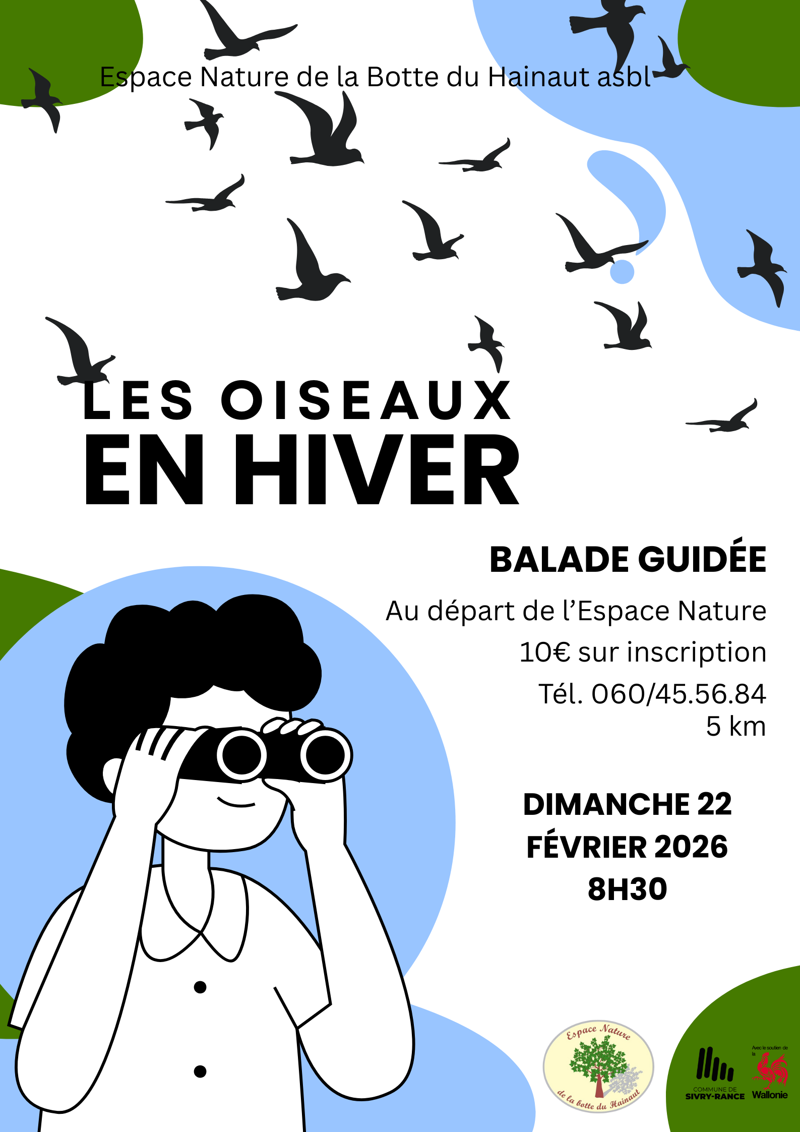 Les oiseaux en hiver