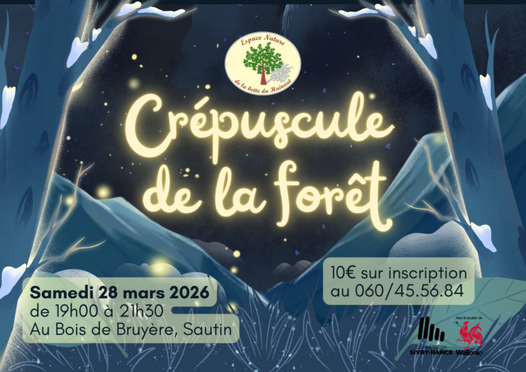 Le crépuscule de la forêt 