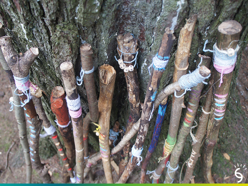 La Forêt enchantée ! 