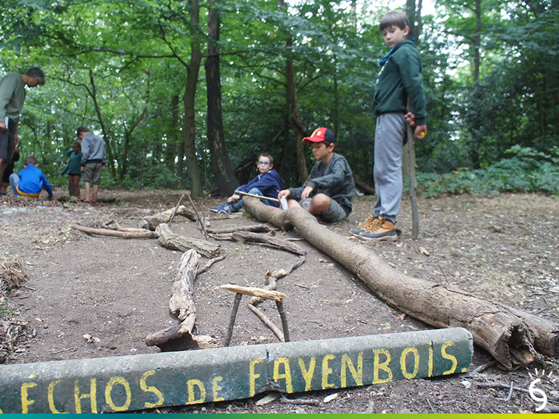 Cap sur la forêt de Fayenbois