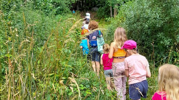 Explorateurs de la forêt 