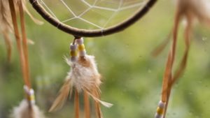 Les petits indiens du Fagotin