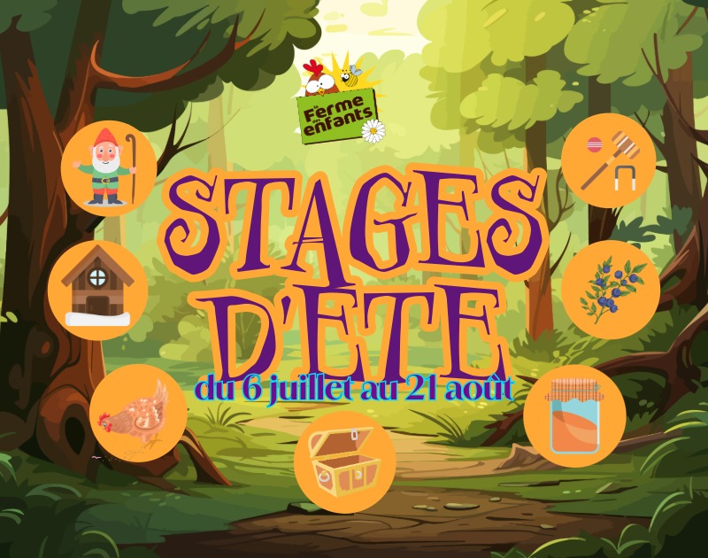 Stages d'été