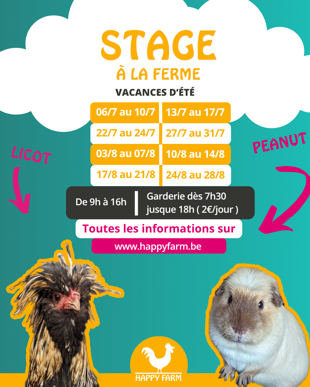 Stage à la ferme