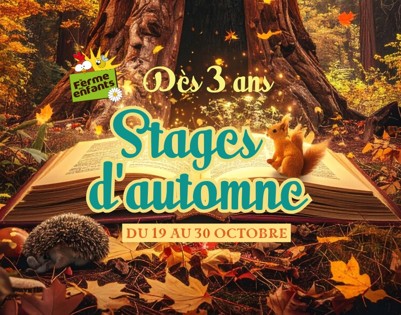 Stages d'automne