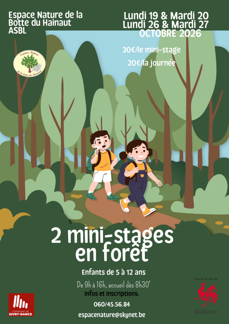 Mini-stages d'automne 2026