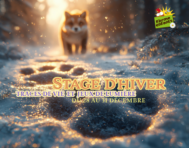 Stage d'hiver